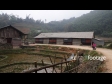 Sapa Rice Fields 2 2729